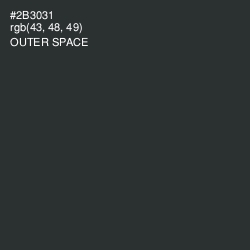 #2B3031 - Outer Space Color Image